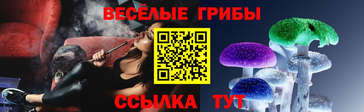 Галлюциногенные грибы Cubensis Белгород
