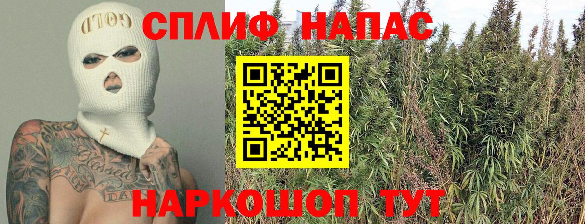 Бошки Шишки тримм Белгород