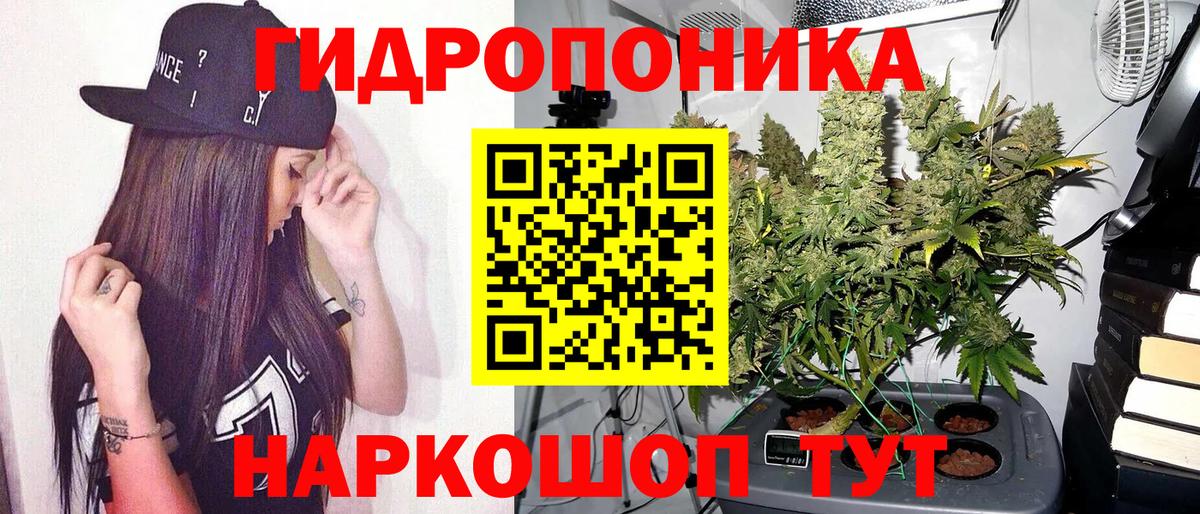 Марихуана Bruce Banner  Бошки марихуана конопля  Вход с VPN  Белгород  Канабис LSD WEED 